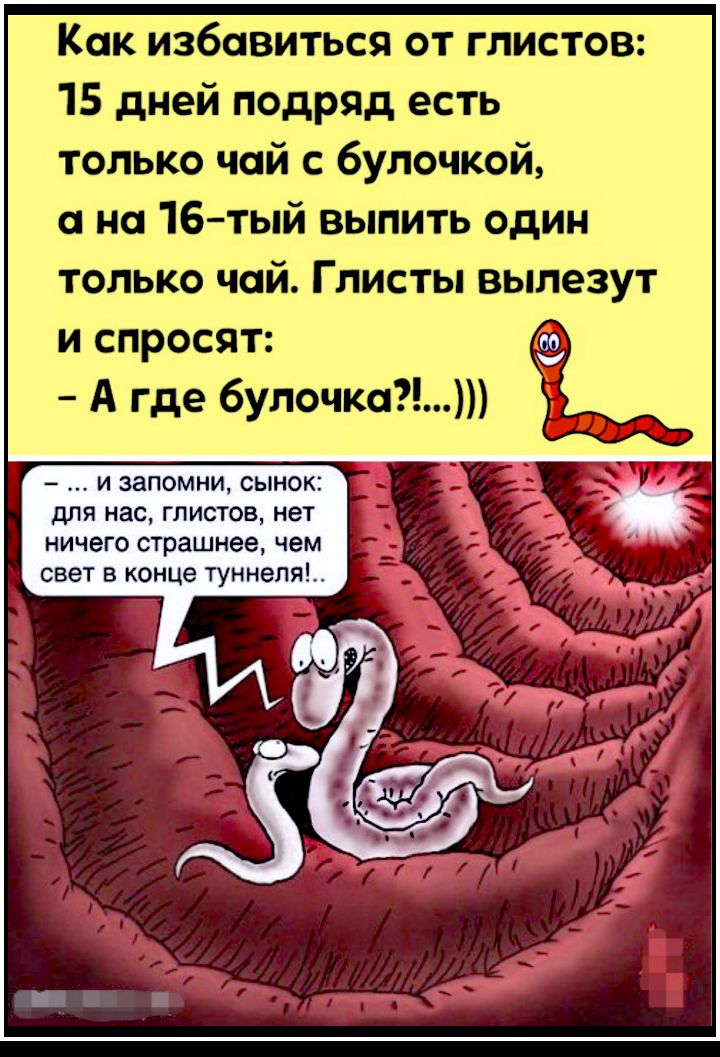 Как избавиться от глистов 15 дней подряд есть только чай с булочкой на 16тый выпить один только чай Глисты вылезут и спросят А где 6улочка И ЗЗПОМНИ СЫНОК ДЛЯ нас ГЛИСТОВ нет НИЧЕГО страшнее чем свет В конце туннеля