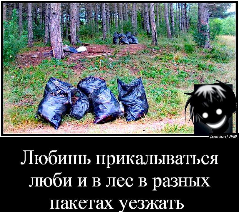 Любишь прикалываться люби И в лес в разных пакетах уезжать