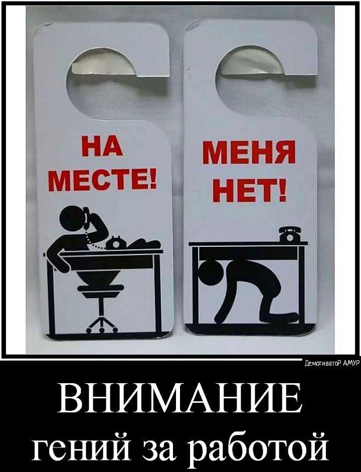 шаг тАМУР ВНИМАНИЕ гений за работой