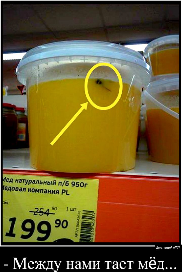 Елагинагф Между нами тает Мёд