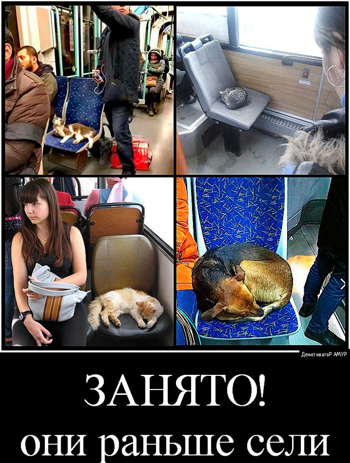 дшпгинпгпР ОНИ раньше ССЛИ