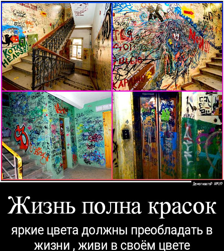 ЖИЗНЬ полна красок яркие цвета ДОЛЖНЫ преобладать В ЖИЗНИ ЖИВИ В СВОЁМ цвете