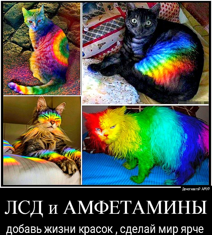 ЛСД И АМФЕТАМИНЫ Добавь ЖИЗНИ красок сделай мир ярче
