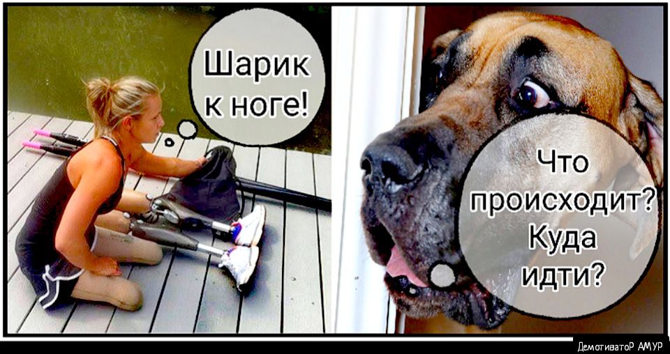 происходит Куда идти