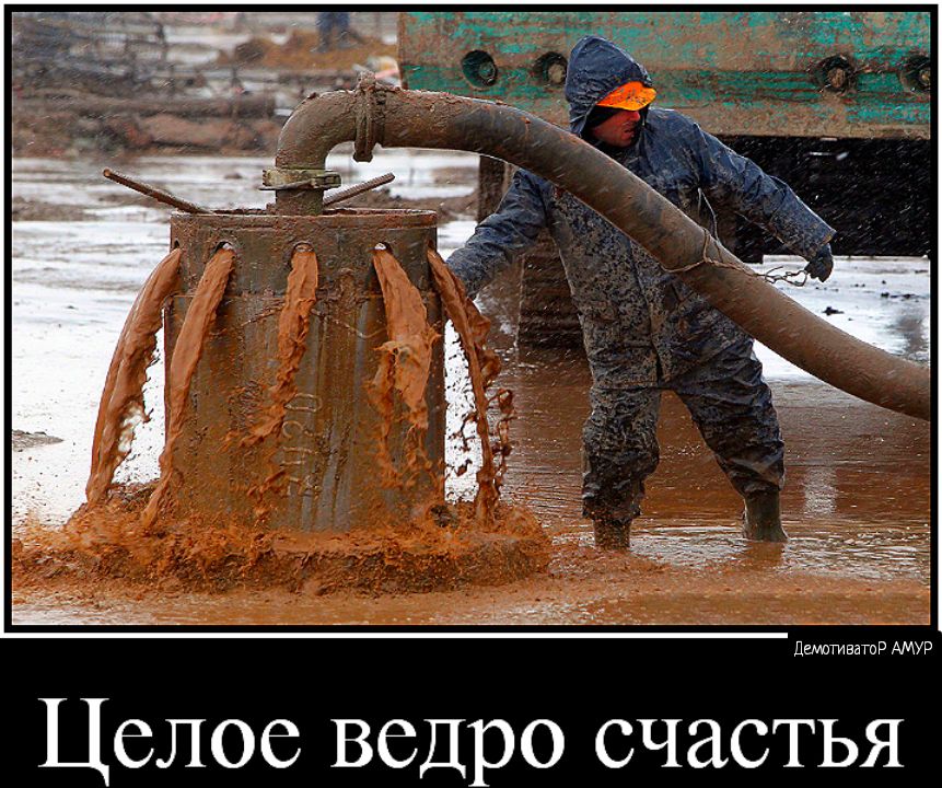 дтшиватоР АМУР Целое ведро счастья
