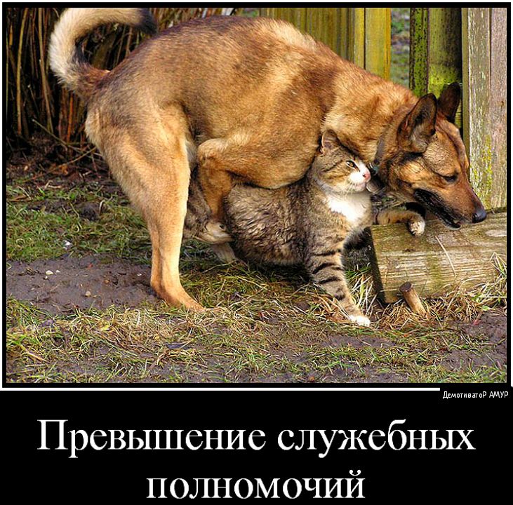ли Превышение служебных полномочий