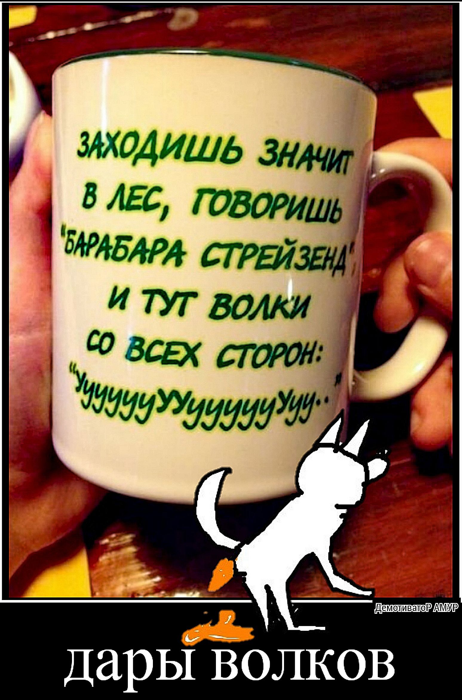 ДемотиватоР АМУР Дарьі Ёолков