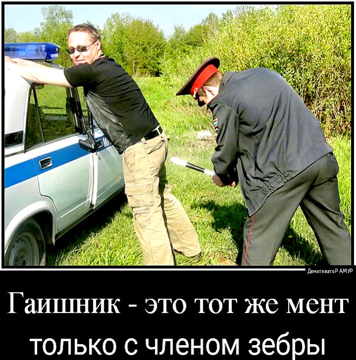 гаИЦШИК ЭТО ТОТ ЖС мент только с членом зебры