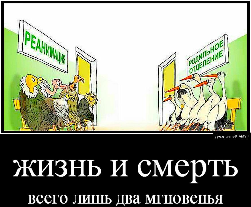 ЖИЗНЬ И СМСРТЬ ВССГО ЛШПЬ ДВа МГНОВСНЬЯ