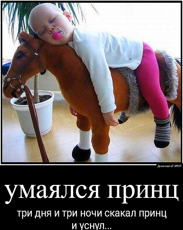 умаялся ПРИНЦ три дНЯ И три НОЧИ СКЭКдЛ ПРИНЦ И УСНУЛ