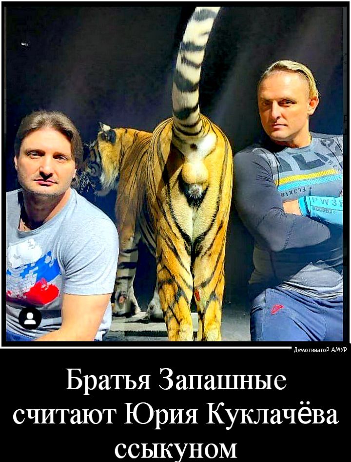 дщтившв АМУР Братья Запашные считают Юрия Куклачёва ССЫКУНОМ