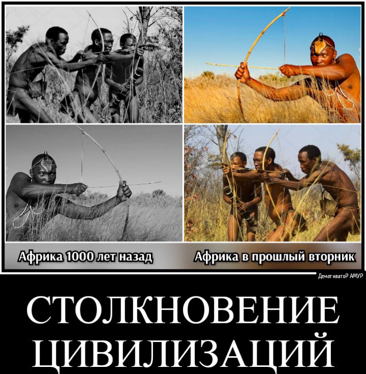 Демсгиватор амур столкновение цивилизаций