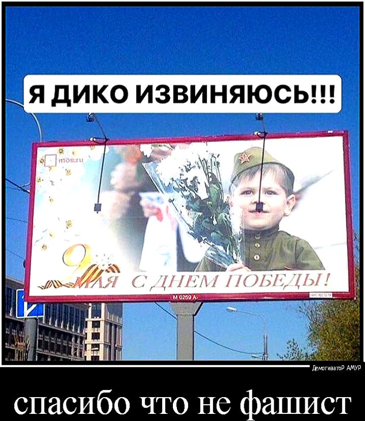 Ея дико извиНЯюсыц Ламината спасибо что не фашист