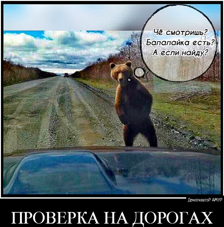 Чё смотришь Бапапаика есть ДгмпгивнгпР АМУР ПРОВЕРКА НА ДОРОГАХ