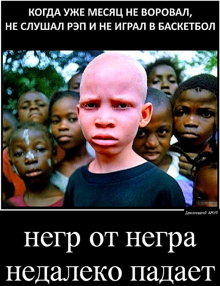 КОГДА УЖЕ МЕСЯЦ НЕ ВОРОВАЛ НЕ СЛУШАЛ РЭП И НЕ ИГРАЛ В БАСКЕТБОЛ НСГр ОТ негра НСДЗЛСКО ПЭДЗСТ