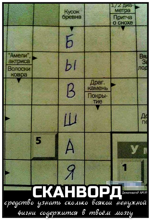 имели _ а са камень тие П Ли __
