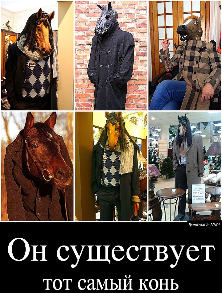 ОН существует тот самый конь