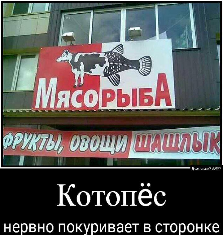 Котопёс нервно покуривает в сторонке