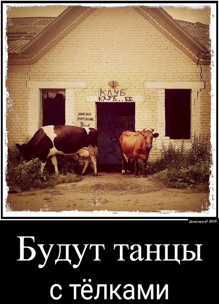 дат Будут танцы с тёл ками