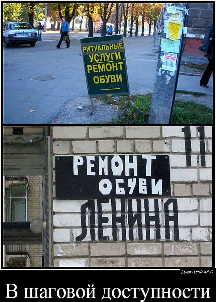птиц В шаговой доступности