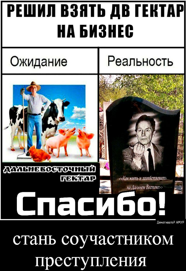 РЕШИП ВЗЯТЬ дВ ГЕНТАР нд БИЗНЕС Ожидание Реальность дальневосточный а Какжить и мы хппвамт мадам иги Вог тка СпасИбоГ стань СОУЧЗСТНИКОМ преступления