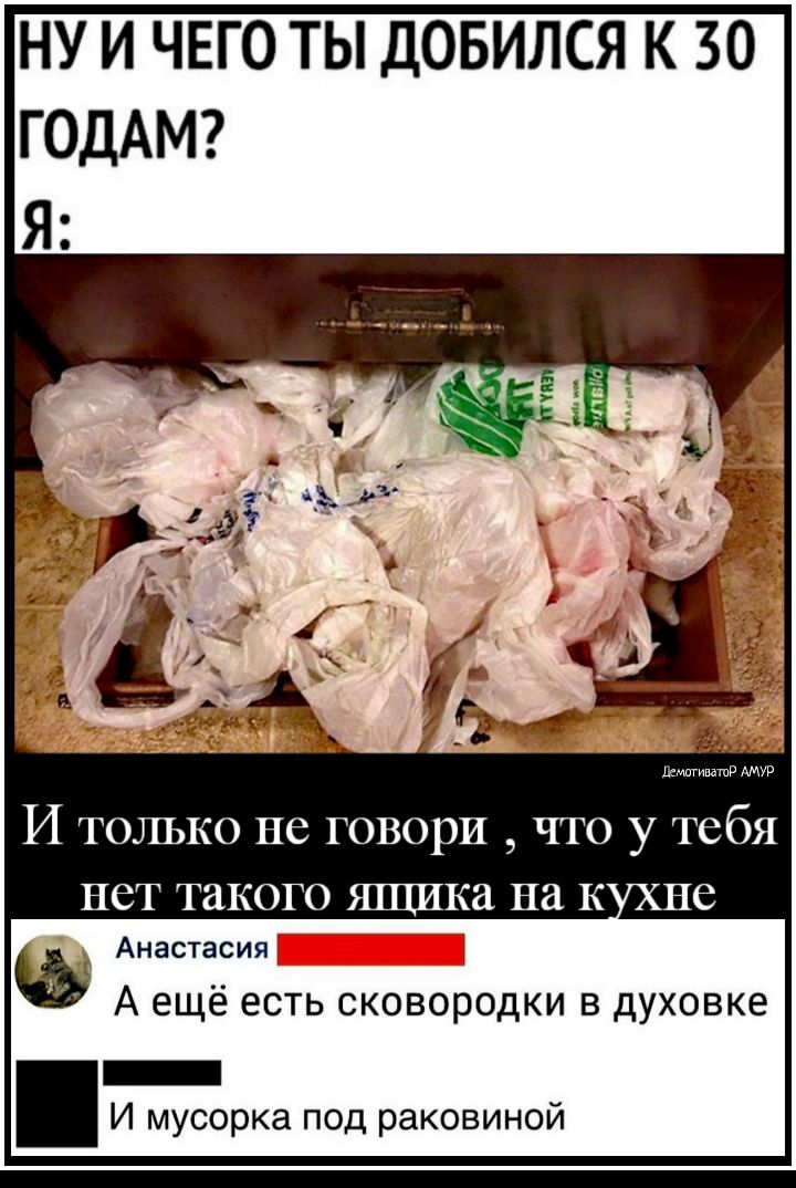 НУ И ЧЕГО ТЫ ДОБИЛСЯ К 30 ГОДАМ И только не говори что у тебя нет такого ящика на к не н Анастасия А ещё ЕСТЬ сковородки В духовке _ И мусорка под раковиной