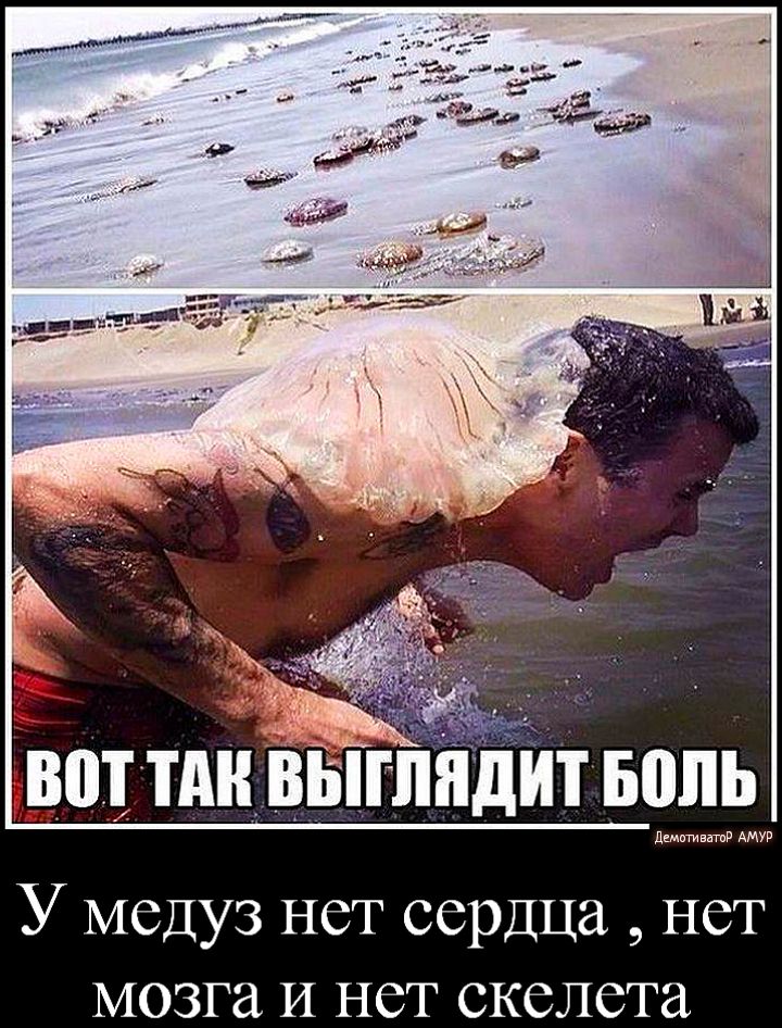 ЦВЕТАЕВ1ГЛЯДИТБОЛЬ дшнтиватн У МСДУЗ НСТ сердца НСТ мозга И НСТ СКСЛСТЗ