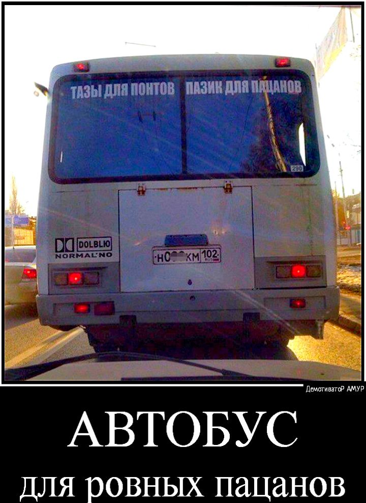 ИЗЫ ЛПП ПОНЮВ МЗИН ЦПН Пи АДЫГЕИ АВТОБУС ДЛЯ ровных ПдЦдНОВ
