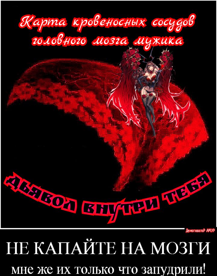 Йаата кроеедосдых сосуды голодного мозга мужика _ Ма ивишд НЕ КАПАЙТЕ НА МОЗГИ МНС ЖС ИХ ТОЛЬКО ЧТО ЗдПУДРИЛИ