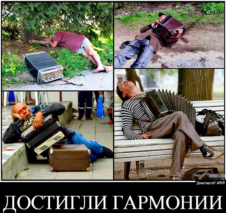 ДОСТИГЛИ ГАРМОНИИ