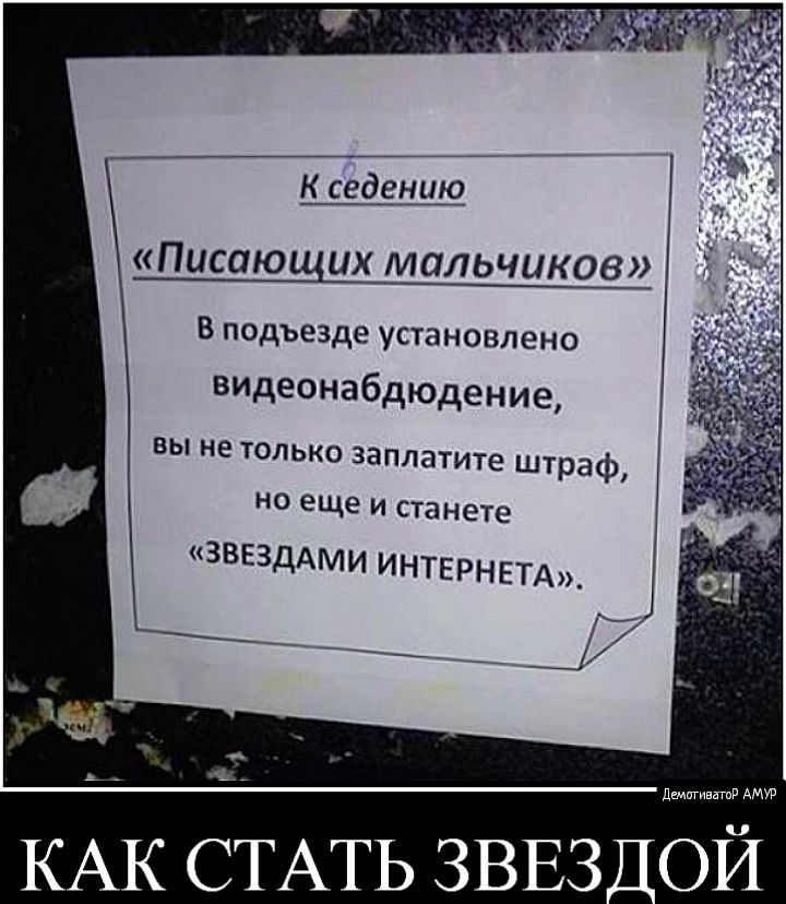 Писали в подъезде. Объявления в подъезде. Смешные объявления и надписи в подъезде. Прикольные надписи в подъездах. Смешные объявления в подъездах.