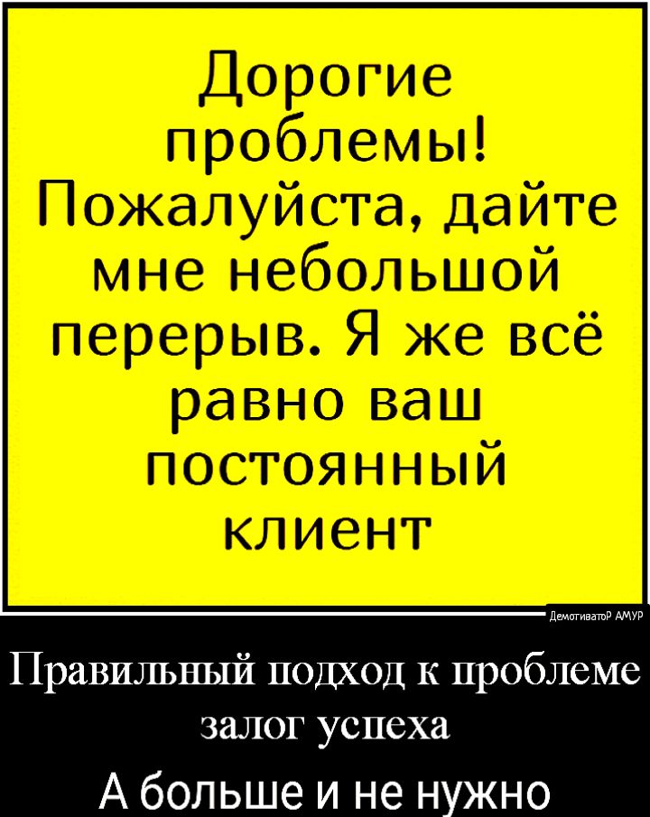 дштивмв АМУР Правильный подход к проблеме залог успеха А больше и не нужно