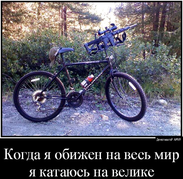 ддшгивто Когда я обижен на весь мир Я катаюсь на велике