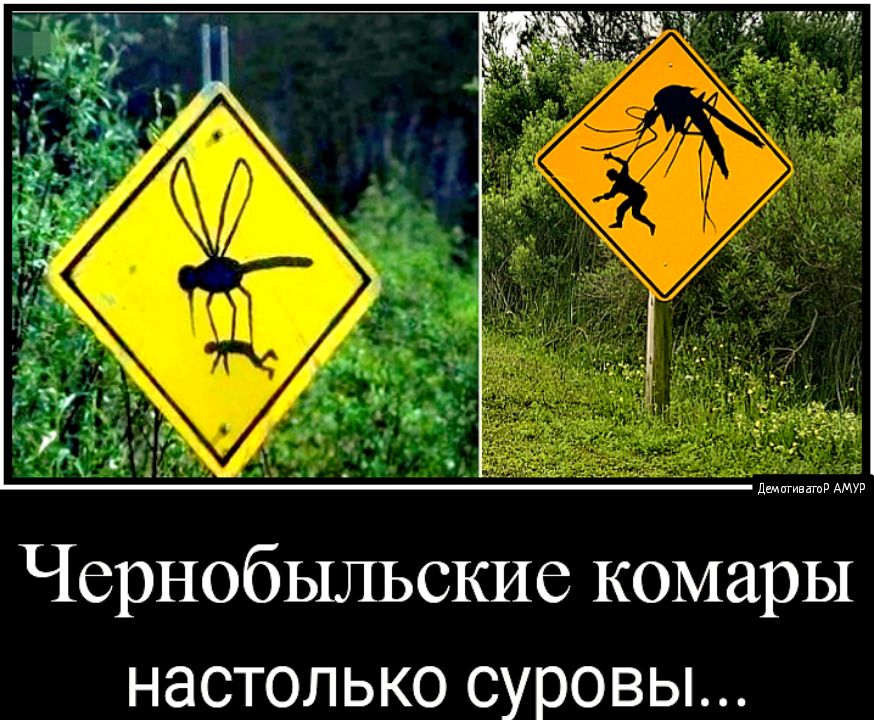 Чернобыльские комары настолько суровы