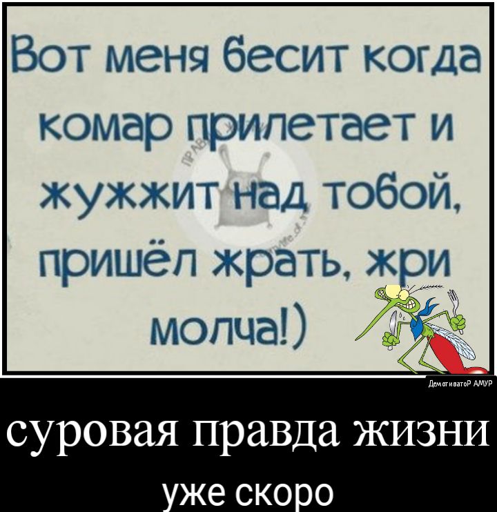 Вот меня бесит когда комар прилетает и жужжит над тобой пришёл жрать ж и суровая правда ЖИЗНИ