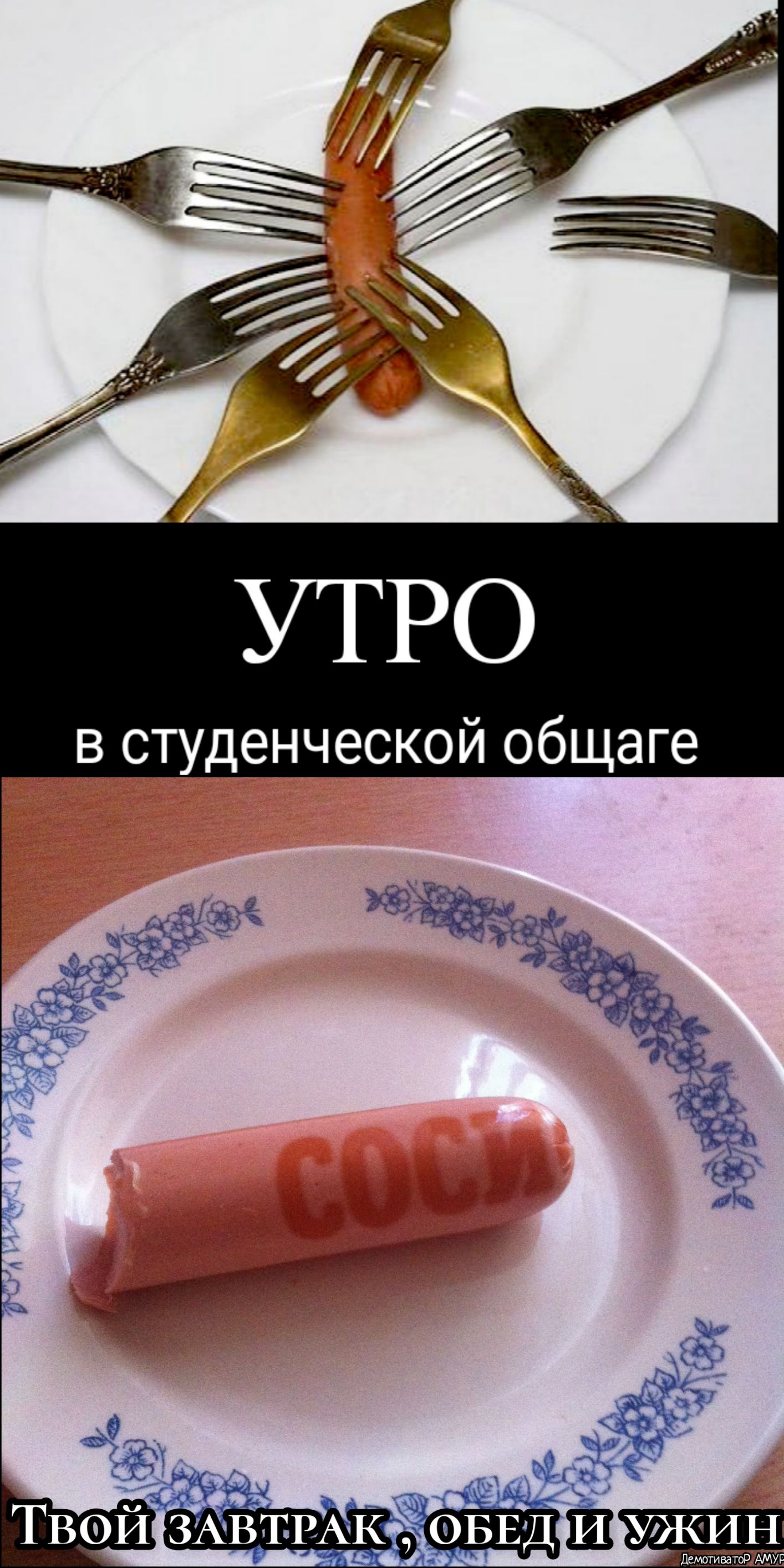 _ 333 зі ТВФИ ЗАВТРАК ФБЕД Ё УЖИН 2 15 Ёь дмотиваъожштр