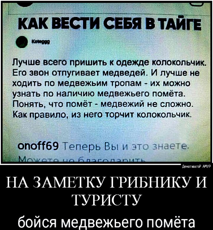 КАКВЕСТИ СЕБЯВТАИГЕ Лучше всего пришить к одежде колокольчик Его звон отпугивает медведей И лучше не ХОДИТЬ ПО медвежьим тропам ИХ МОЖНО узнать по наличию медвежьего помёта Понять что помёт медвежий не сложно Как правило из него торчит колокольчик опоіі69 Теперь Вы и эт джинна НА ЗАМЕТКУ ГРИБНИКУ И ТУРИСТУ бойся медвежьего помёта