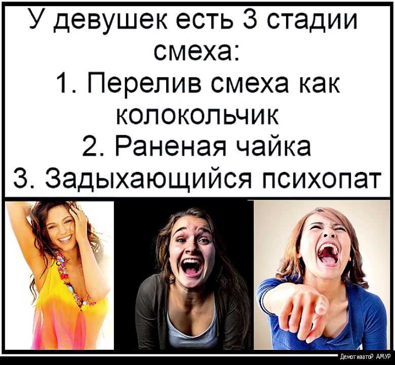 Немного глупый. У девушек есть три стадии смеха. Стадии смеха. Как смеются девушки. 3 Стадии смеха у девушек.