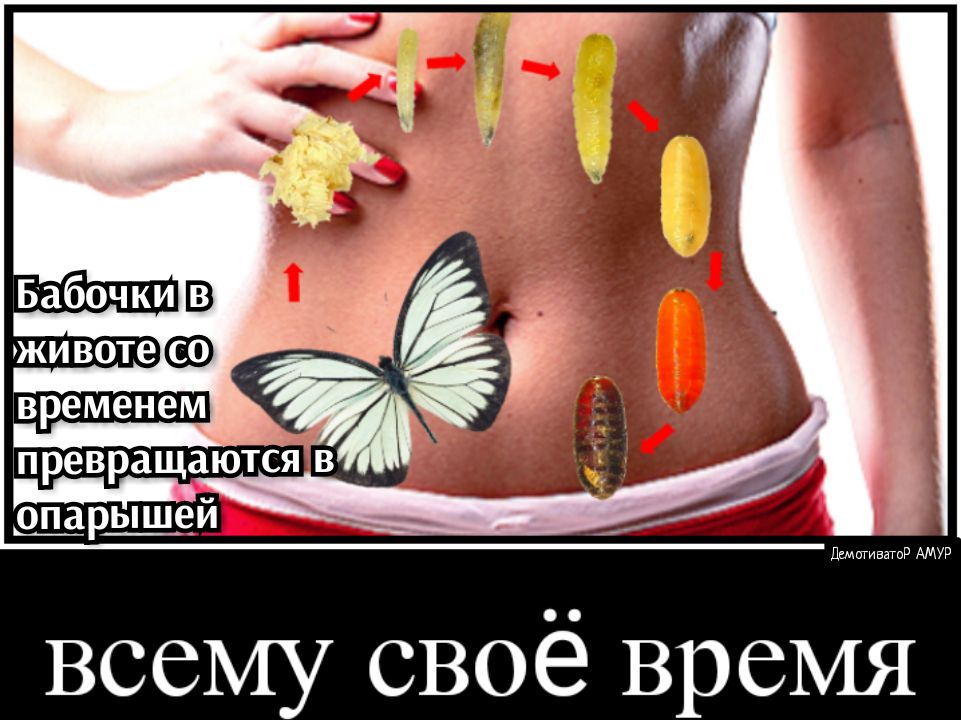 дщпгиватпд АМУР всему своё время