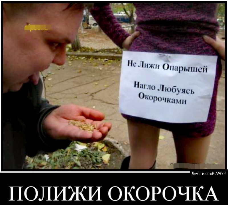 ПОЛИЖИ ОКОРОЧКА