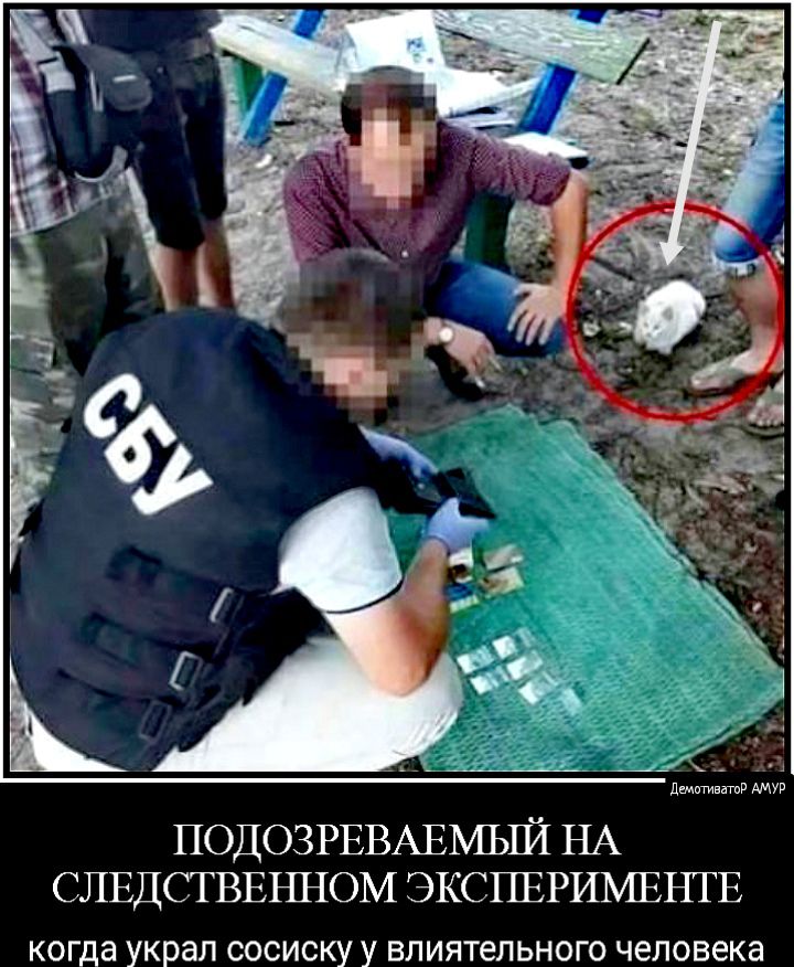 ПОДОЗРЕВАЕМЫЙ НА СЛЕДСТВЕЪШОМ ЭКСПЕРИМЕНТЕ когда украл СОСИСКУ У ВЛИЯТеЛЬНОГО человека дщктгивнтд АМУР