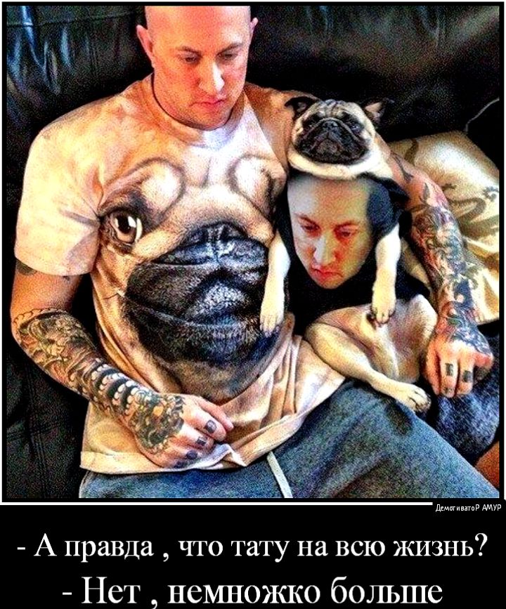 А правда что тату на всю ЖИЗНЬ Нет немножко больше