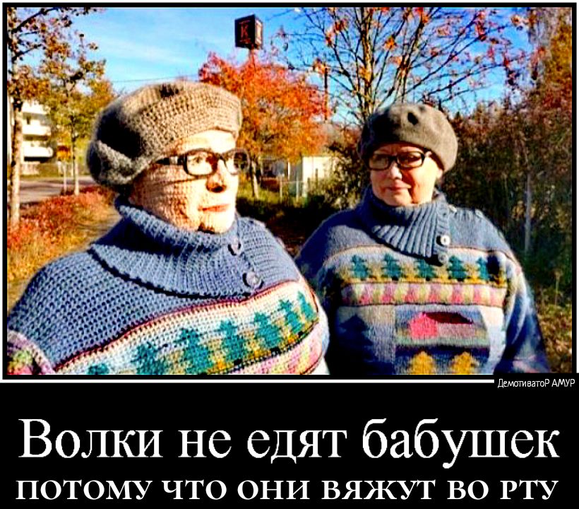ДиютивншР АМУР Волки не едят бабушек ПОТОМУ ЧТО ОНИ ВЯЖУТ ВО РТУ