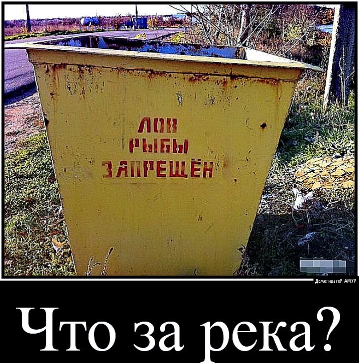 пити дми Что за река