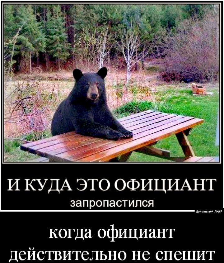 И КУДА ЭТО ОФИЦИАНТ за пропастился дитини когда официант Действительно не спешит