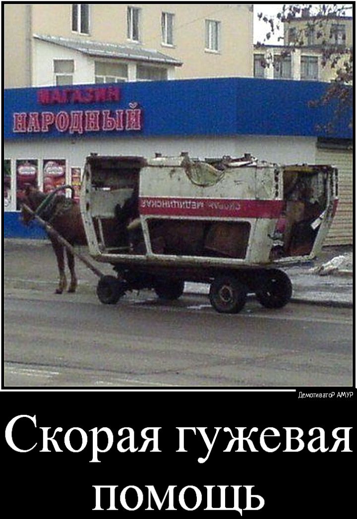 джгивагцр АМУР Скорая гужевая помощь