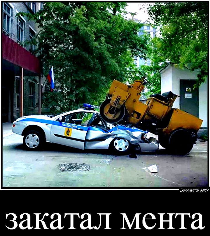 ддгивдшв закатал мента