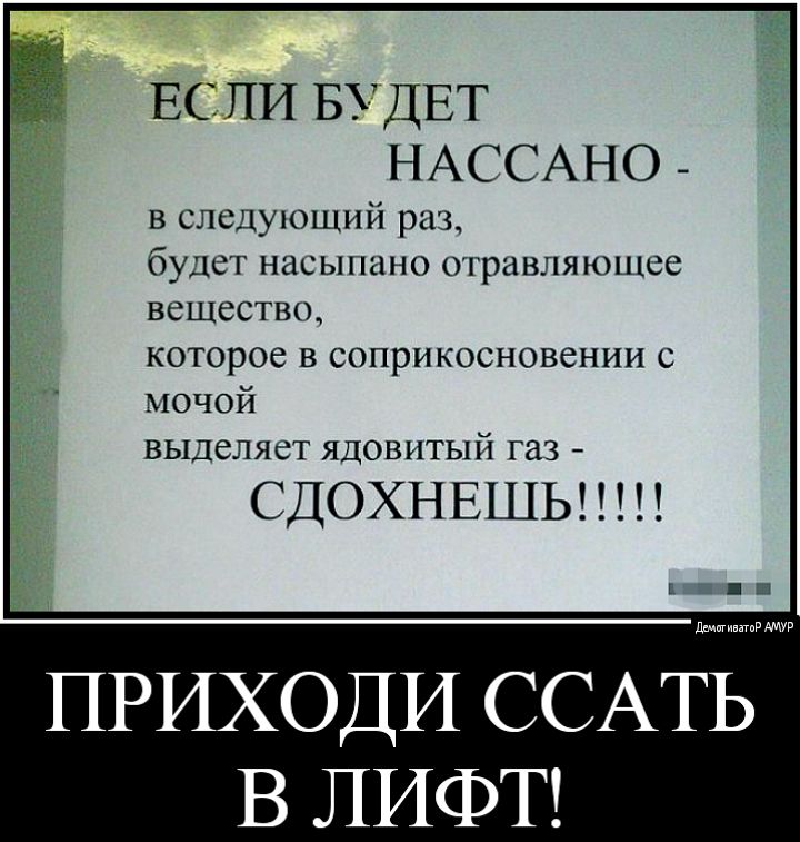 ЕСЛИ БУДЕТ НАССАНО в следующий раз будет насыпано отравляющее вещество которое в соприкосновении с мочой выделяет ядовитый газ СДОХНЕШЬ п ш ди амур ПРИХОДИ ССАТЬ В ЛИФТ