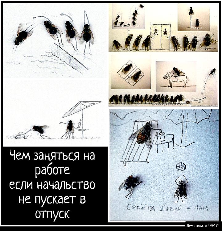 Чем заняться на работе если начальство не пускает в отпуск