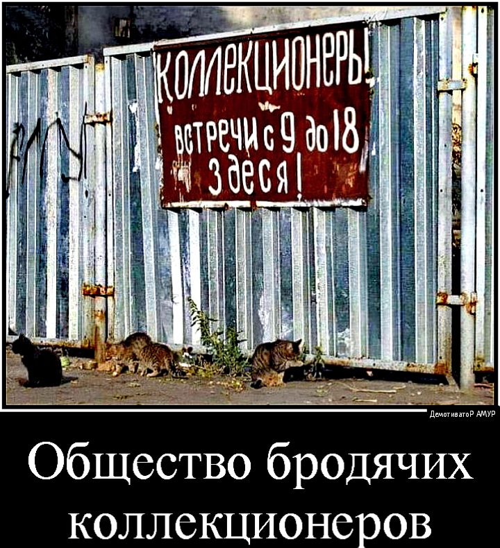 Общество бродячих коллекционеров